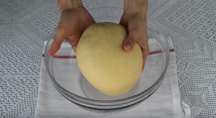 Put the finished dough in a bowl greased with vegetable oil.