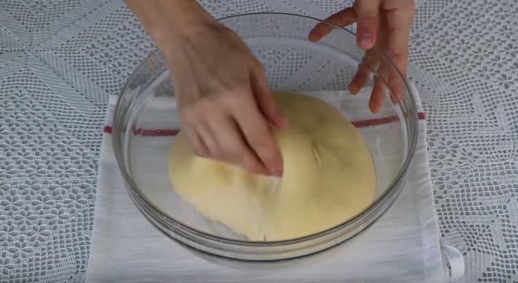 Lorsque la pâte est levée, vous devez la pétrir et la laisser lever à nouveau.