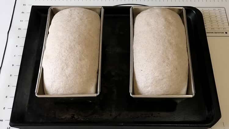 Para hacer pan de trigo y centeno, divida la masa en panes