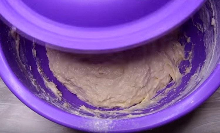 e Ajoutez plus de farine, couvrez la pâte avec un couvercle et laissez lever dans un endroit chaud.