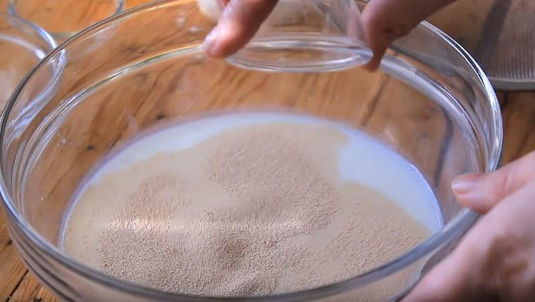 Add sugar, salt and dried yeast to warm milk.