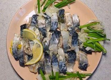 Mackerel sagudai - a nutritious, tasty and healthy dish