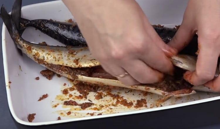 After laying the mackerel in a container with sides, rub it with a mixture of spices.