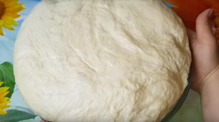 lush dough for whites is only left to knead, and baking can be formed.