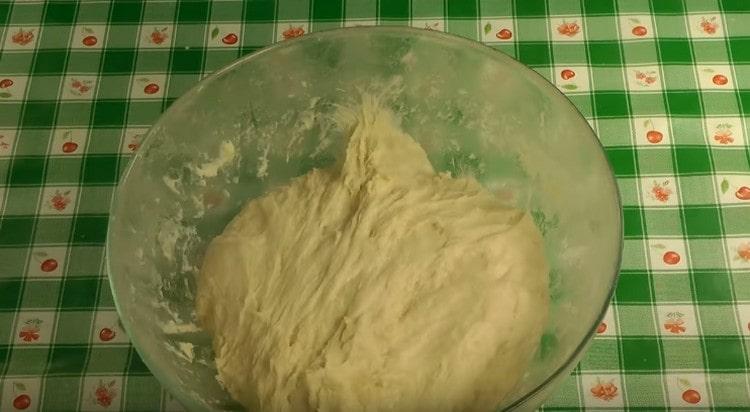 Laissez la pâte dans un bol et couvrez-la dans un endroit chaud.