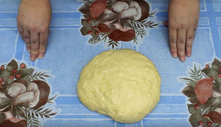 La pâte est prête, vous devez la mettre dans un bol profond et la laisser au chaud pour qu'elle puisse lever.