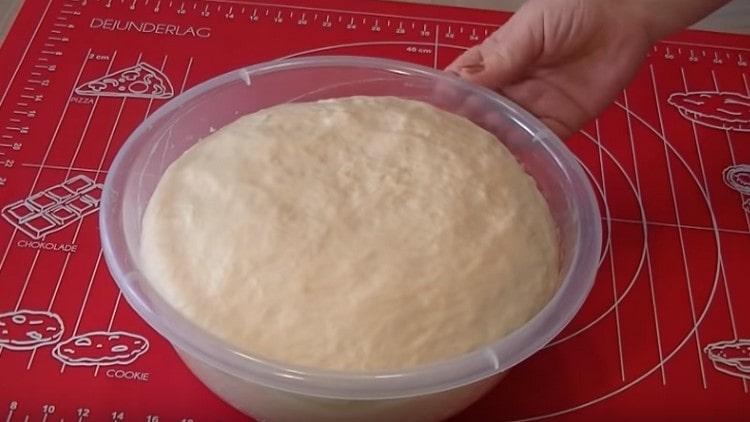 Our wonderful, magnificent dough for fried pies is ready.