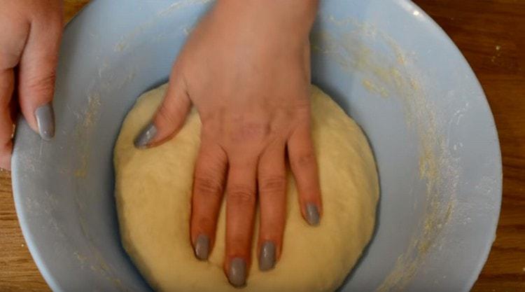 Laissez la pâte dans un bol dans un endroit chaud afin qu'elle puisse lever.