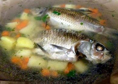 Appetizing ear from crucian carp: we prepare according to the step-by-step recipe with a photo.