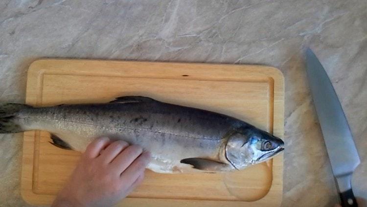 Limpiamos el salmón rosado de las escamas, destripando, eliminamos las branquias.