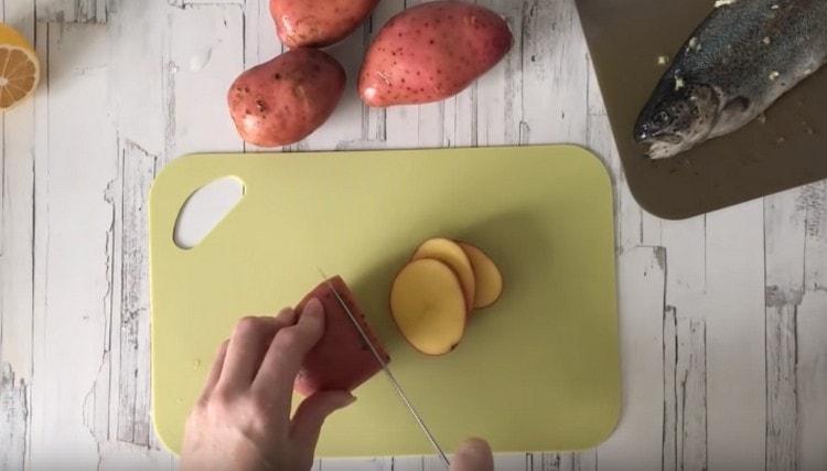 Couper les pommes de terre en cercles, lavées mais non pelées.