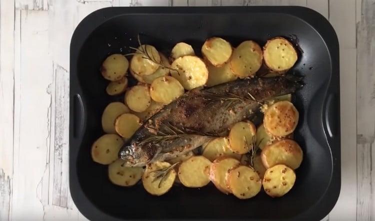 Nous faisons cuire la truite avec des pommes de terre au four et savourons le goût d'un plat merveilleux.