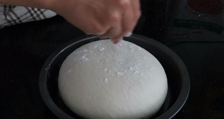 Lightly sprinkle the loaf of flour and leave it so that it still rises.