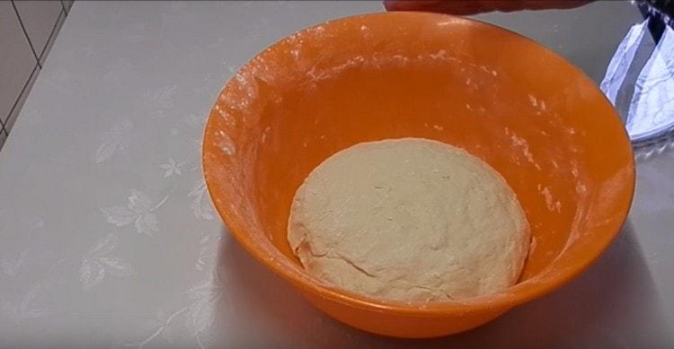 The dough is ready, put it in a warm place so that it can rise.