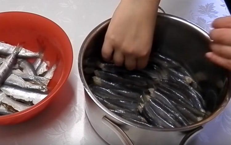 The cleaned and washed fish are tightly laid in a pan with the backs up.