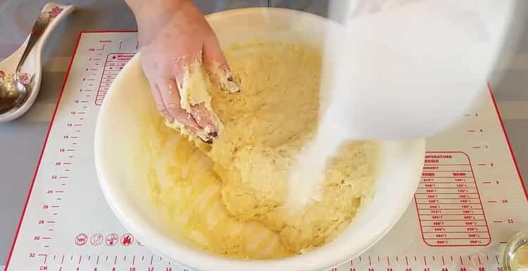 Para hacer pasteles de queso cottage, prepare los ingredientes.