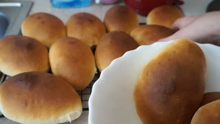 Cómo aprender a cocinar deliciosas tartas con cebolla y huevos en el horno