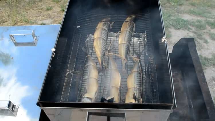 Hot smoked mackerel according to a step by step recipe with photo