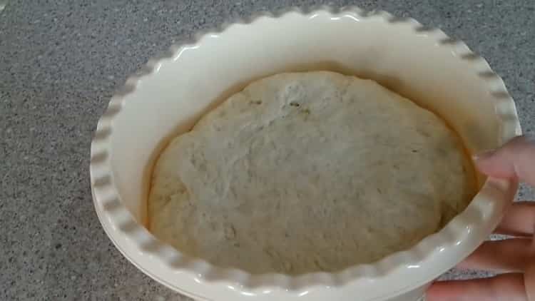 the dough for pies with dry yeast is ready