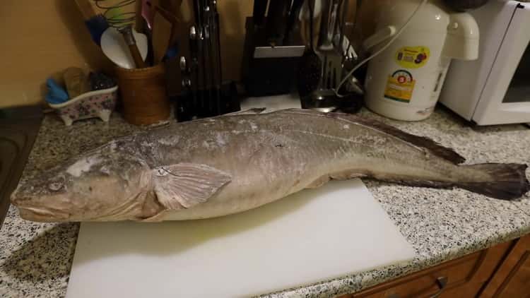 To prepare the burbot soup, prepare the ingredients