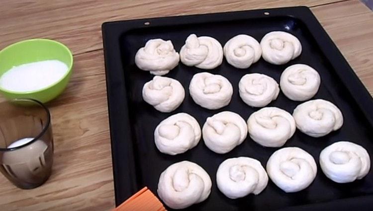 Étaler les petits pains obtenus sur une plaque à pâtisserie.