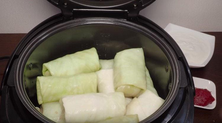 Esparcimos rollos de repollo en un recipiente multicocina engrasado con aceite vegetal.