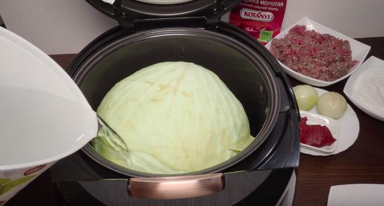 In a slow cooker, pour the cabbage with water and boil it.