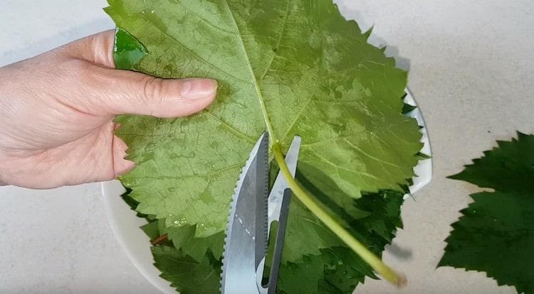 We wash the grape leaves and cut off their cuttings.