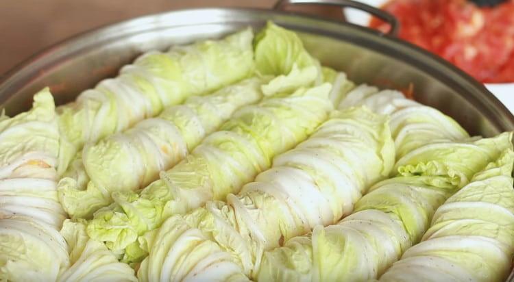 Spread cabbage rolls in a pan for vegetable sauce.