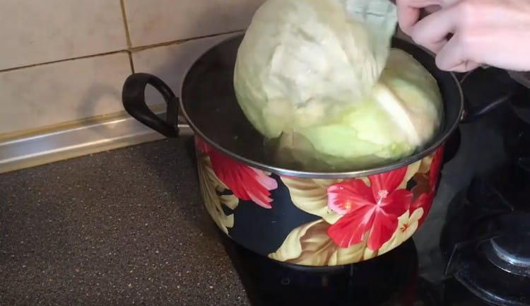 Carefully separate the leaves from the cabbage
