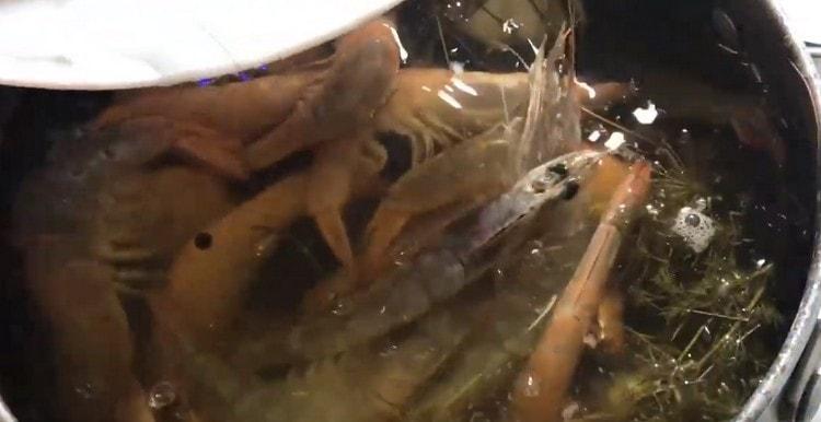 Répartir les crevettes dans de l'eau bouillante et cuire pendant 7 minutes.
