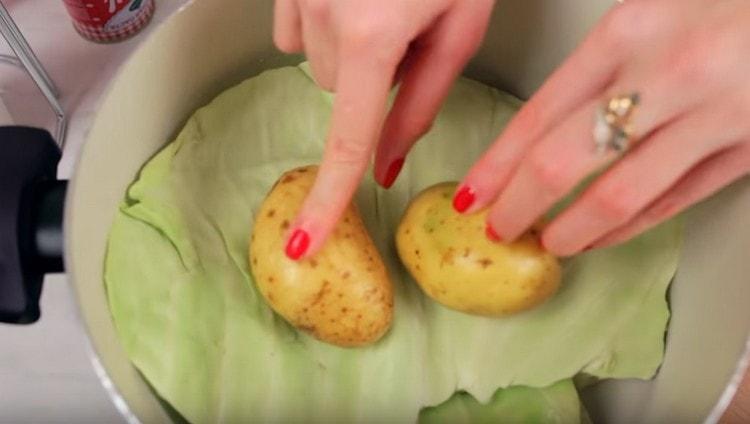 Nous recouvrons les rouleaux de chou avec une autre feuille de chou, vous pouvez y mettre des pommes de terre.