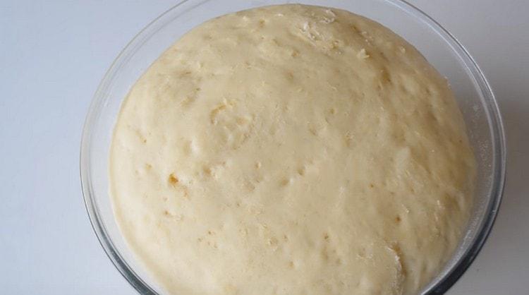 Gentle pizza dough is ready.