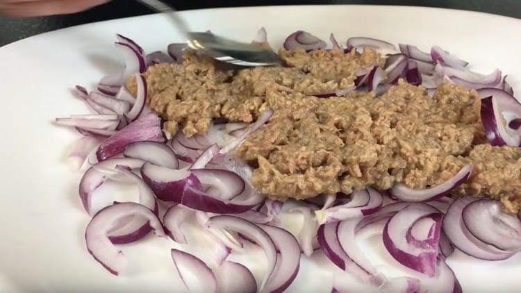 On top of the onion, spread the canned tuna, mashed with a fork.
