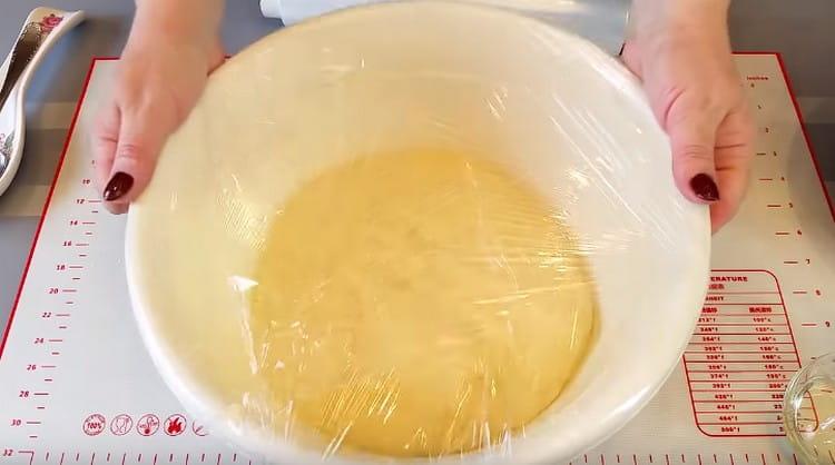 cover the bowl with the dough with cling film and leave to rise.