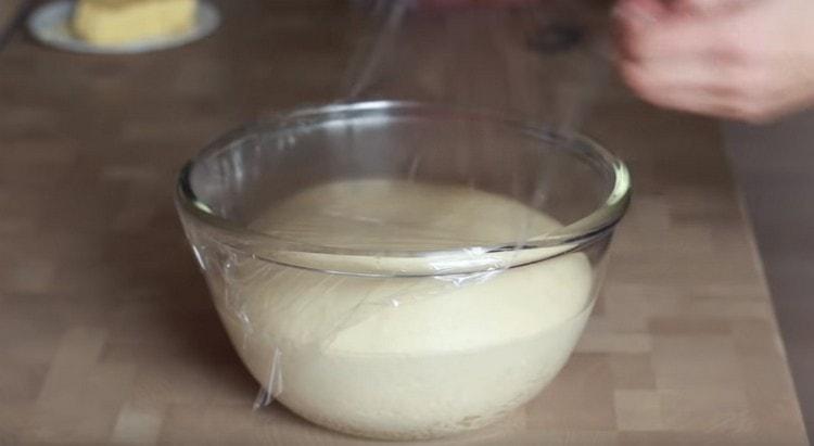 We cover the dough with cling film and wait for it to rise.