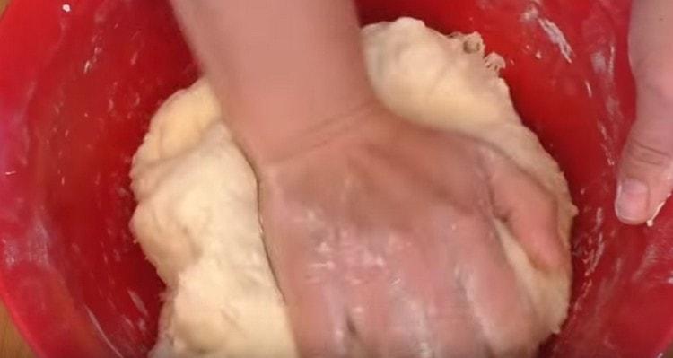 Ajouter la farine et pétrir la pâte.