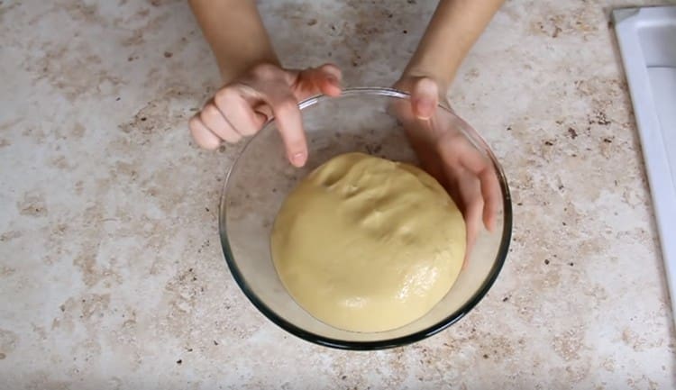 Transfer the dough into a bowl and leave for half an hour.
