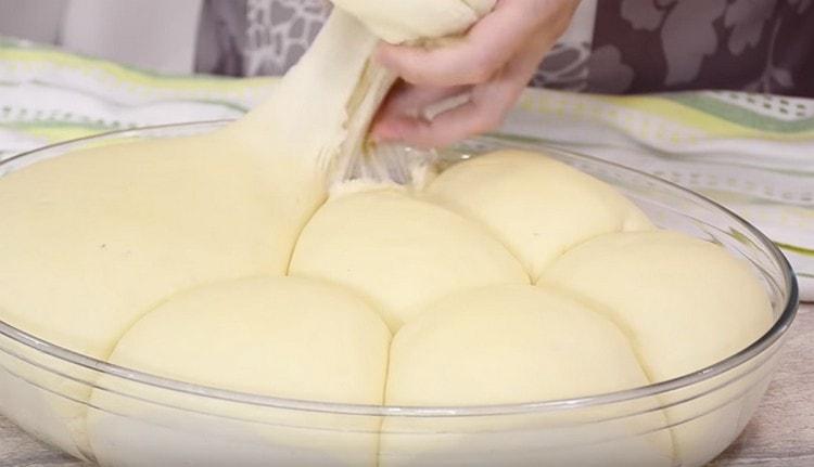 Quick yeast pizza dough on water is ready.