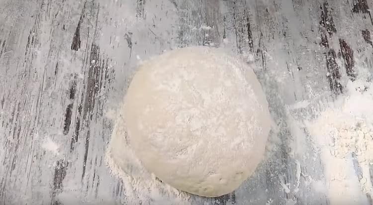 Yeast pizza dough in milk is ready.