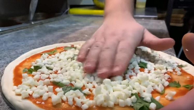 Espolvorea un trozo de mozzarella.