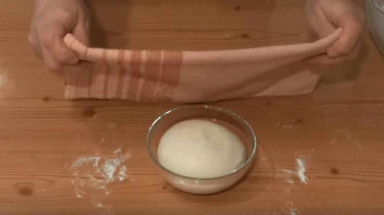 Cover the dough with a towel or cling film and leave to rise.