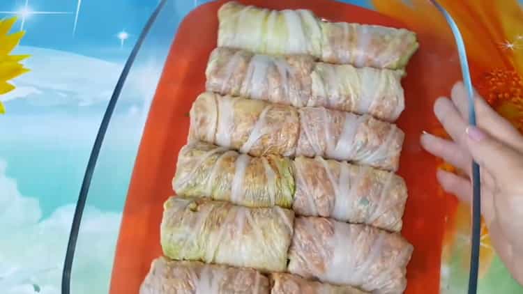 Para hacer rollos de repollo, prepare rollos de repollo