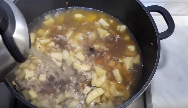 Pour the soup components with water.