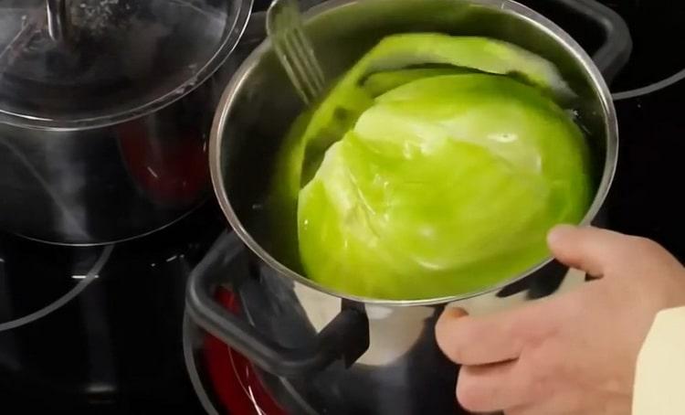 all about how to prepare cabbage for stuffed cabbage