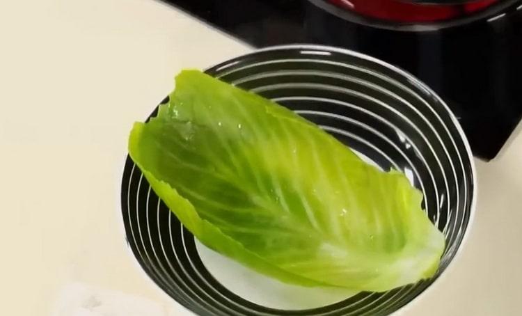 How to prepare cabbage for cabbage rolls according to a step-by-step recipe with a photo