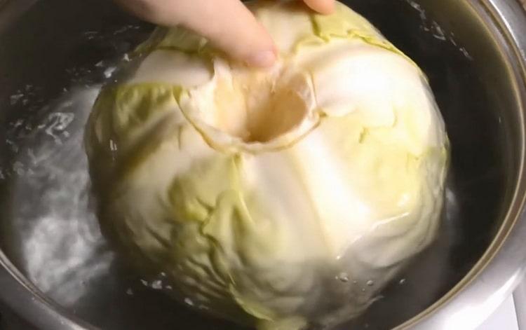 To cook cabbage, boil cabbage