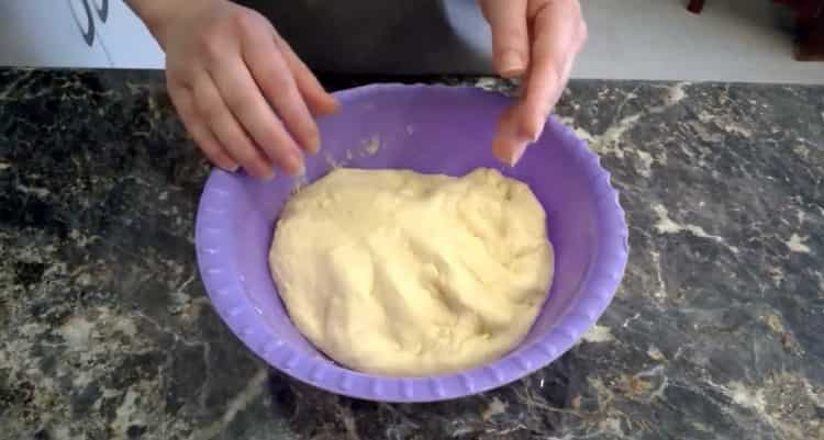 Pâte à levure universelle de mayonnaise pour toute cuisson