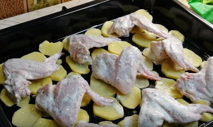 coloque círculos de papa en una bandeja para hornear engrasada con aceite vegetal y coloque las alitas de pollo encima.