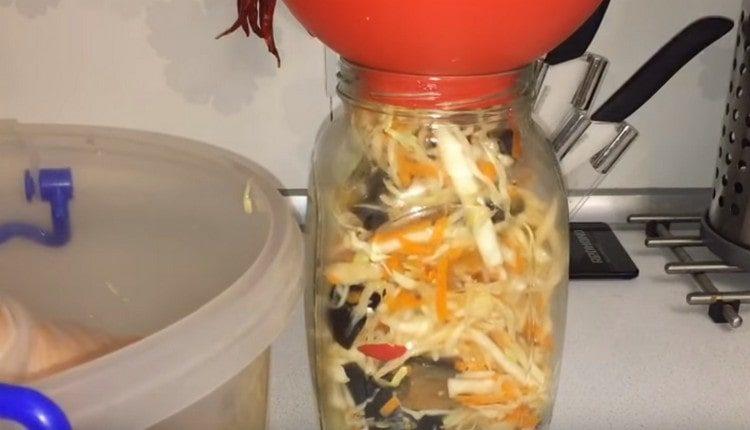 The resulting salad is laid in jars.